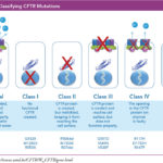 CFTR-Mutation-Classes